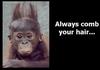 Always comb your hair...