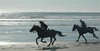 a gallop on the beach