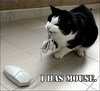 A mouse catcher