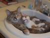 a bath for two