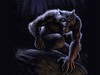Werewolf Guardian