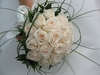 White Roses