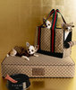 Gucci Pet Accessories