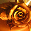 Chocolate Rose