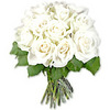 12 White Roses