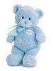 Blue Teddy Bear