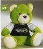 Green Teddy Bear