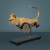 Tournament Feline armor