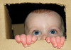 just peeking in at you!