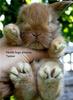Need Hugs