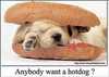 Any1 up for Hotdog??