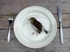 Dead bird Ready Meal