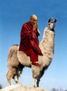 The Dalai Lama... on a Llama