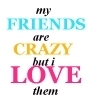 I Love My Crazy Friends