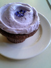 Lavendar Cupcake