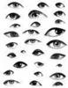 many eyes