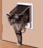 Electromagnetic Pet Door