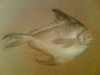 Painting: The fish