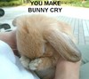 You make bunny cry.