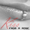 a kiss from a rose