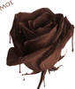 A Chocolate Rose...For You...