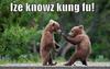 I know kung fu!