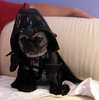 I am your father