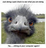 a emo ....i meant Emu