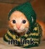 link kitty