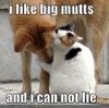 I Like Big Mutts...