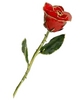 Red rose! pure love for u!!