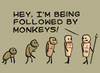 Monkeys