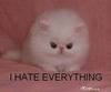 I HATE EVERYTHING!!!