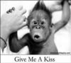 give me a kiss