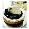 blueberry cheese cake