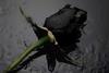 A Dark Rose