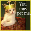 you may pet me :)