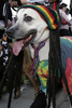 Bob Marley Costume
