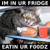 In your fridge, eating your food