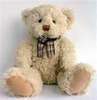 teddy 1