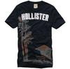 Hollister Mens Spring Tshirt