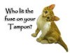 Who Lit The Fuse On Your Tampon?
