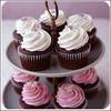 ♥Cup cAkes♥