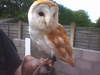 OWL be seeing you soon