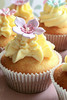 lilac and pink cupcakes