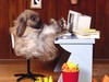 a Bunny Hard at Work!!