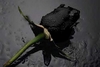 a perfect black rose