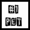 #1 Pet 