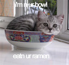 Cat Ramen