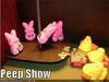 Nothing like a good peep show!!